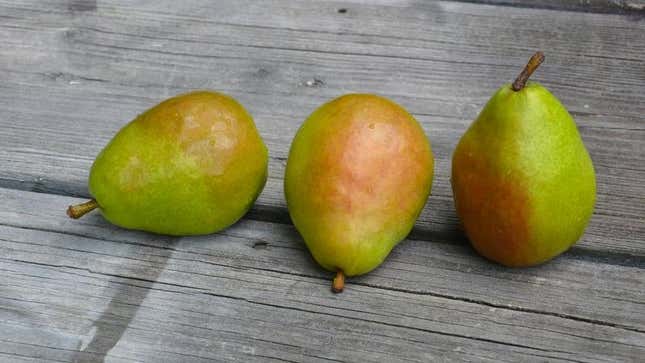 Anjou pears
